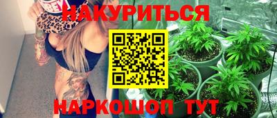 дмт Краснодар