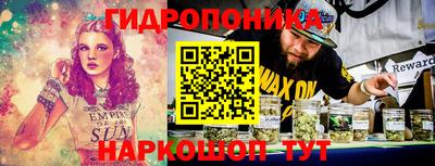 дмт Краснодар